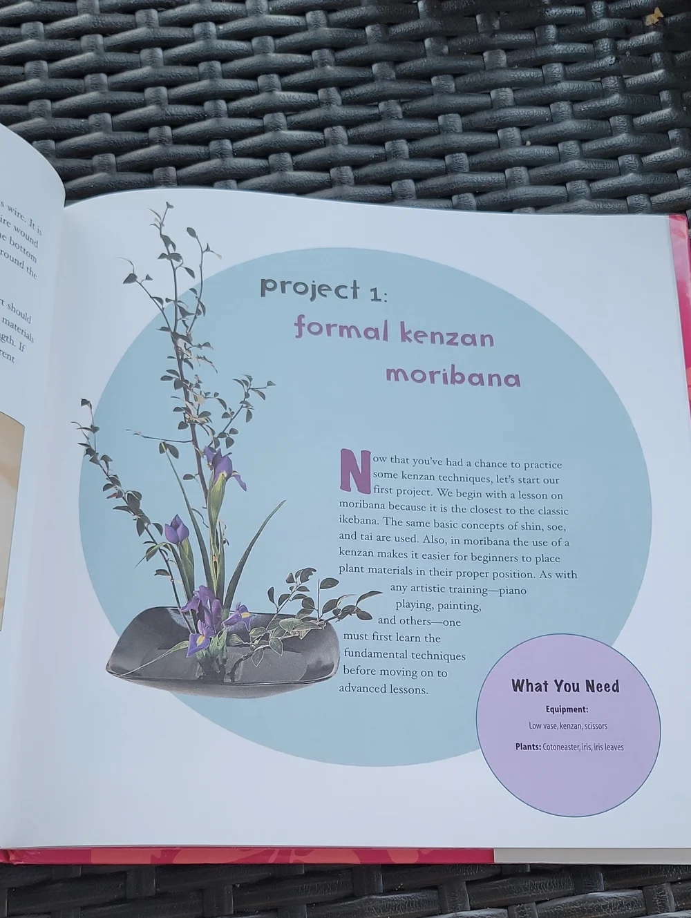Ikebana: Asian Arts & Crafts For Creative Kids By Shozo Sato